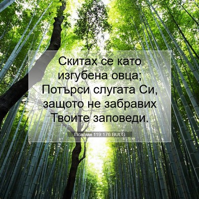 Picture 07 - Псалми 119:176 BULG - Скитах се като изгубена - Bible Verse Picture
