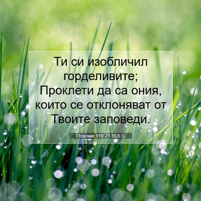 Picture 07 - Псалми 119:21 BULG - Ти си изобличил - Bible Verse Picture