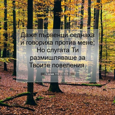 Picture 07 - Псалми 119:23 BULG - Даже първенци седнаха и - Bible Verse Picture