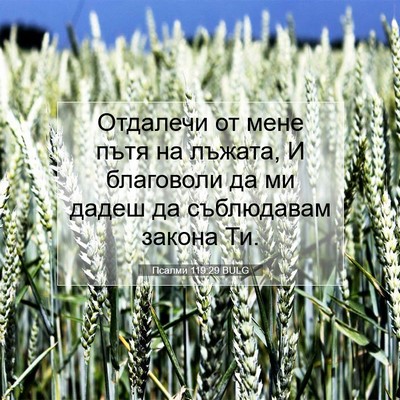 Picture 07 - Псалми 119:29 BULG - Отдалечи от мене пътя на - Bible Verse Picture