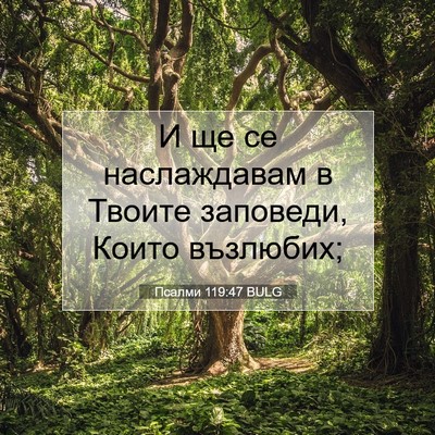Picture 07 - Псалми 119:47 BULG - И ще се наслаждавам в - Bible Verse Picture