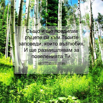 Picture 07 - Псалми 119:48 BULG - Също и ще повдигам ръцете - Bible Verse Picture