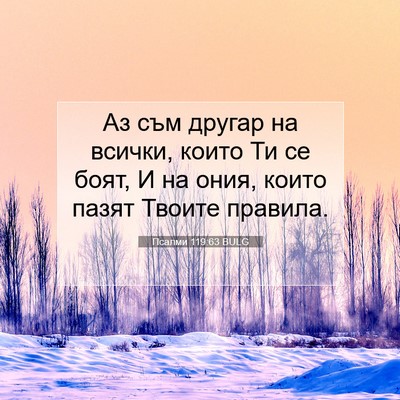 Picture 07 - Псалми 119:63 BULG - Аз съм другар на всички, - Bible Verse Picture