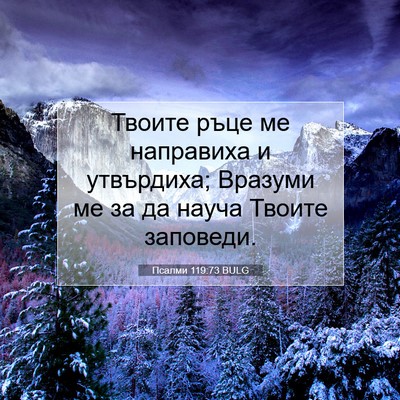 Picture 07 - Псалми 119:73 BULG - Твоите ръце ме направиха и - Bible Verse Picture
