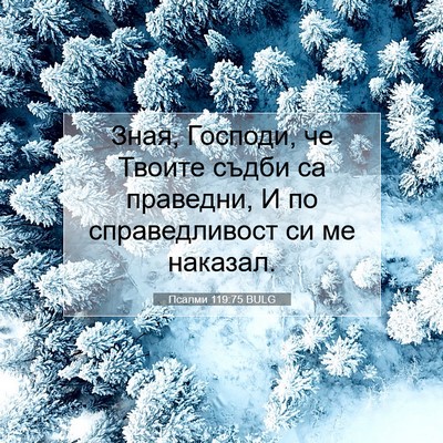 Picture 07 - Псалми 119:75 BULG - Зная, Господи, че Твоите - Bible Verse Picture