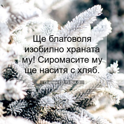 Picture 07 - Псалми 132:15 BULG - Ще благоволя изобилно - Bible Verse Picture