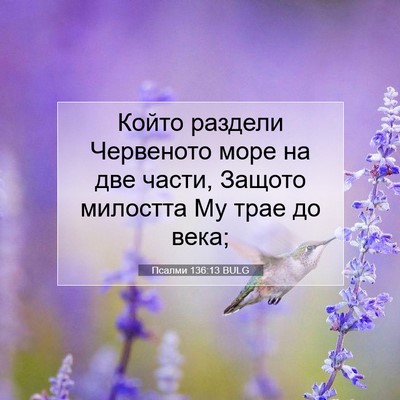 Picture 07 - Псалми 136:13 BULG - Който раздели Червеното - Bible Verse Picture