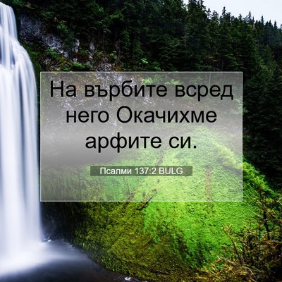 Picture 07 - Псалми 137:2 BULG - На върбите всред него - Bible Verse Picture