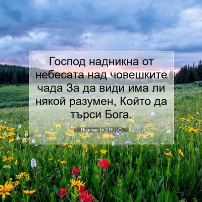 Picture 07 - Псалми 14:2 BULG - Господ надникна от - Bible Verse Picture