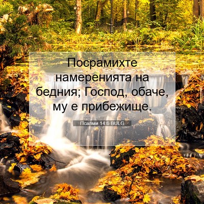 Picture 07 - Псалми 14:6 BULG - Посрамихте намеренията на - Bible Verse Picture