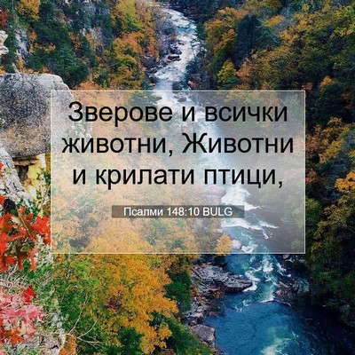 Picture 07 - Псалми 148:10 BULG - Зверове и всички животни, - Bible Verse Picture