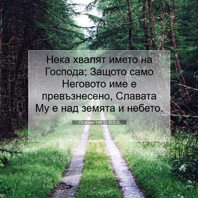 Picture 07 - Псалми 148:13 BULG - Нека хвалят името на - Bible Verse Picture