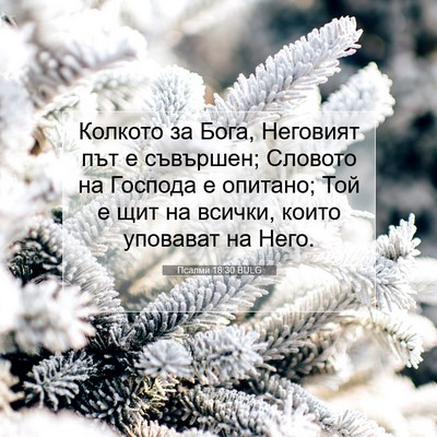 Picture 07 - Псалми 18:30 BULG - Колкото за Бога, Неговият - Bible Verse Picture