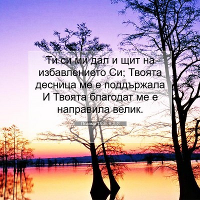 Picture 07 - Псалми 18:35 BULG - Ти си ми дал и щит на - Bible Verse Picture