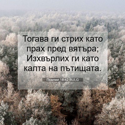 Picture 07 - Псалми 18:42 BULG - Тогава ги стрих като прах - Bible Verse Picture