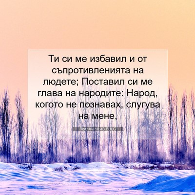 Picture 07 - Псалми 18:43 BULG - Ти си ме избавил и от - Bible Verse Picture