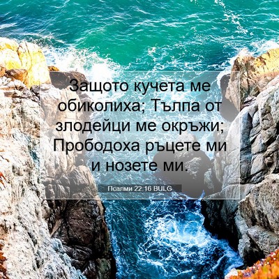 Picture 07 - Псалми 22:16 BULG - Защото кучета ме - Bible Verse Picture