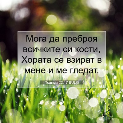 Picture 07 - Псалми 22:17 BULG - Мога да преброя всичките - Bible Verse Picture