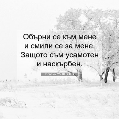 Picture 07 - Псалми 25:16 BULG - Обърни се към мене и смили - Bible Verse Picture