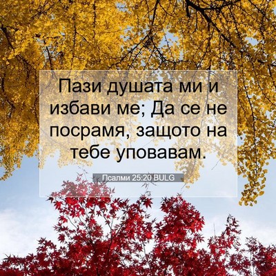 Picture 07 - Псалми 25:20 BULG - Пази душата ми и избави ме; - Bible Verse Picture