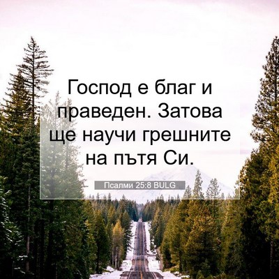 Picture 07 - Псалми 25:8 BULG - Господ е благ и праведен. - Bible Verse Picture