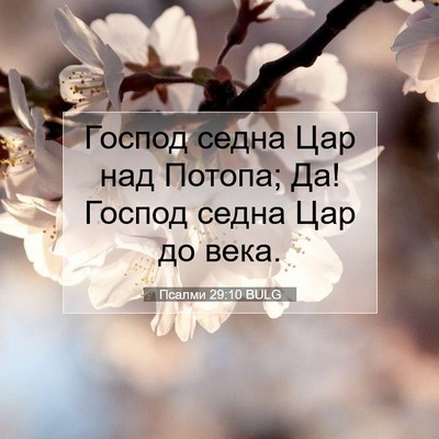 Picture 07 - Псалми 29:10 BULG - Господ седна Цар над - Bible Verse Picture