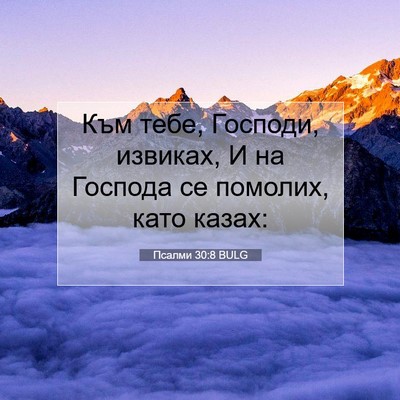 Picture 07 - Псалми 30:8 BULG - Към тебе, Господи, извиках, - Bible Verse Picture