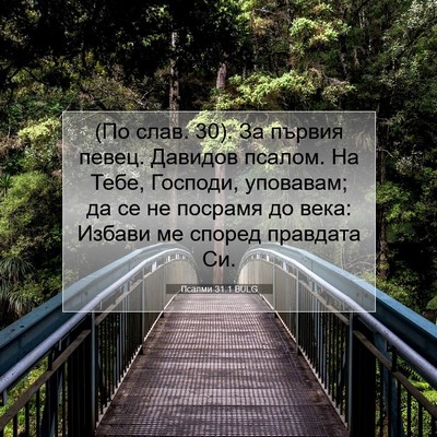 Picture 07 - Псалми 31:1 BULG - (По слав. 30). За първия - Bible Verse Picture
