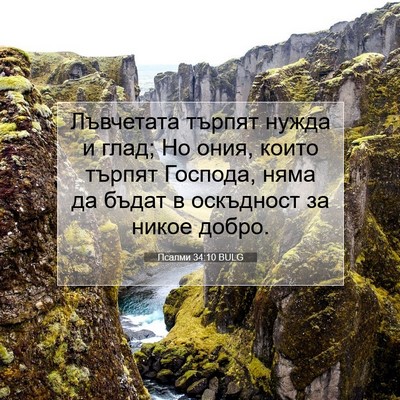Picture 07 - Псалми 34:10 BULG - Лъвчетата търпят нужда и - Bible Verse Picture