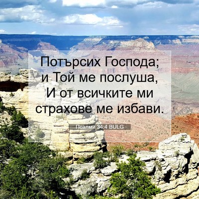 Picture 07 - Псалми 34:4 BULG - Потърсих Господа; и Той ме - Bible Verse Picture
