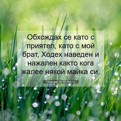 Picture 07 - Псалми 35:14 BULG - Обхождах се като с приятел, - Bible Verse Picture