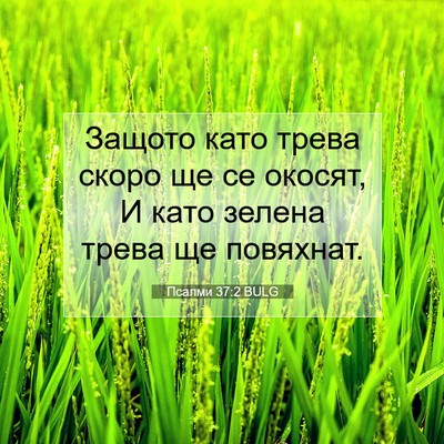 Picture 07 - Псалми 37:2 BULG - Защото като трева скоро ще - Bible Verse Picture