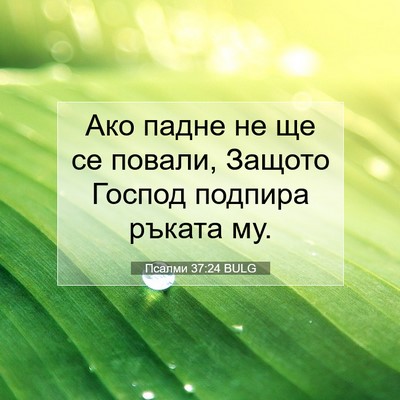 Picture 07 - Псалми 37:24 BULG - Ако падне не ще се повали, - Bible Verse Picture
