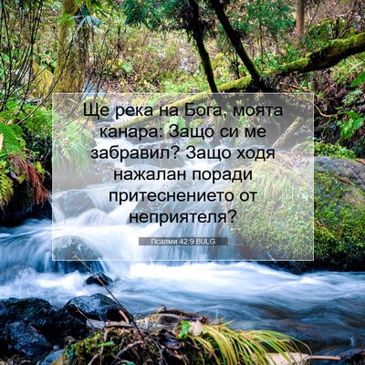 Picture 07 - Псалми 42:9 BULG - Ще река на Бога, моята - Bible Verse Picture