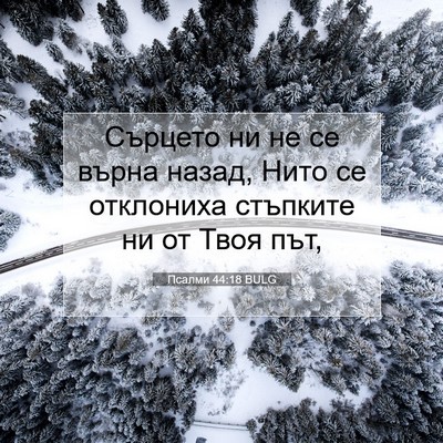 Picture 07 - Псалми 44:18 BULG - Сърцето ни не се върна - Bible Verse Picture