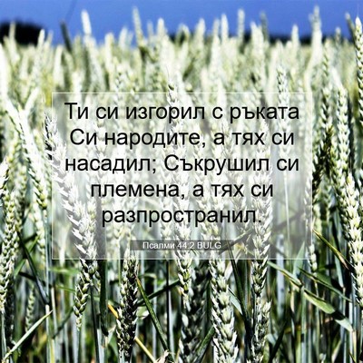 Picture 07 - Псалми 44:2 BULG - Ти си изгорил с ръката Си - Bible Verse Picture