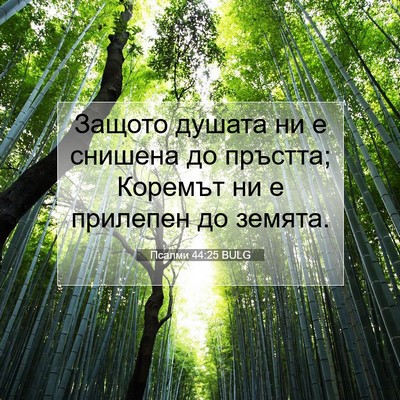 Picture 07 - Псалми 44:25 BULG - Защото душата ни е снишена - Bible Verse Picture