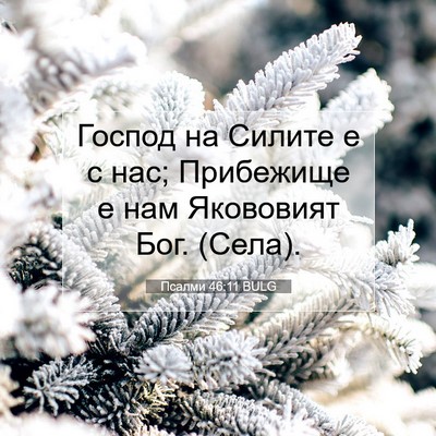 Picture 07 - Псалми 46:11 BULG - Господ на Силите е с нас; - Bible Verse Picture