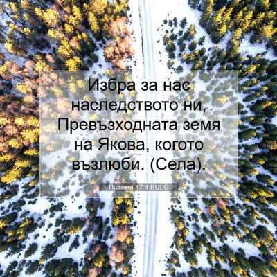 Picture 07 - Псалми 47:4 BULG - Избра за нас наследството - Bible Verse Picture