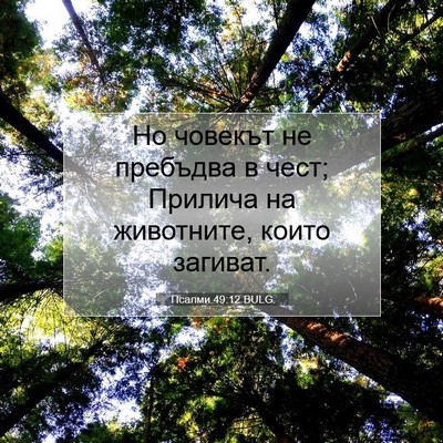 Picture 07 - Псалми 49:12 BULG - Но човекът не пребъдва в - Bible Verse Picture