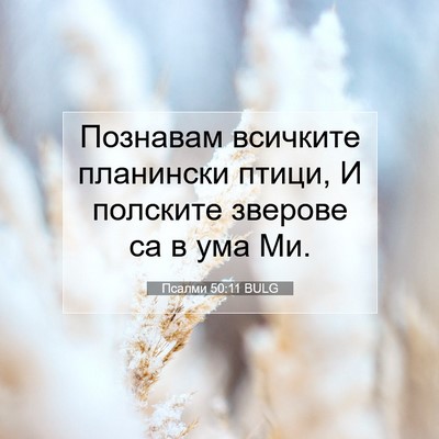 Picture 07 - Псалми 50:11 BULG - Познавам всичките - Bible Verse Picture
