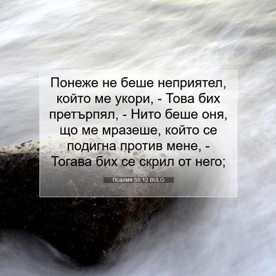 Picture 07 - Псалми 55:12 BULG - Понеже не беше неприятел, - Bible Verse Picture