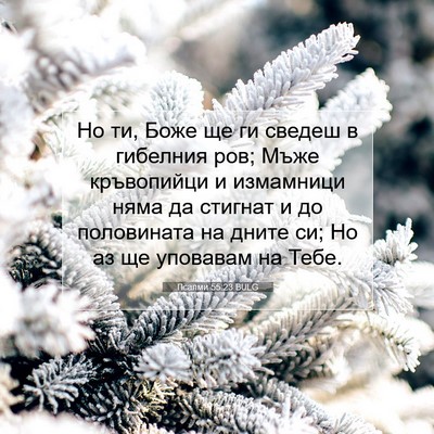 Picture 07 - Псалми 55:23 BULG - Но ти, Боже ще ги сведеш в - Bible Verse Picture