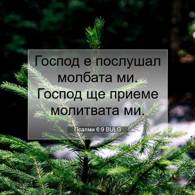 Picture 07 - Псалми 6:9 BULG - Господ е послушал молбата - Bible Verse Picture