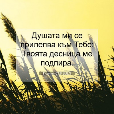 Picture 07 - Псалми 63:8 BULG - Душата ми се прилепва към - Bible Verse Picture