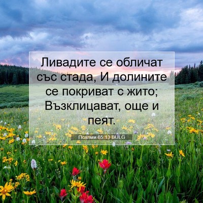 Picture 07 - Псалми 65:13 BULG - Ливадите се обличат със - Bible Verse Picture