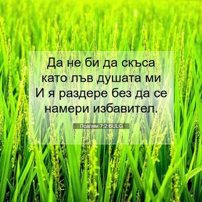Picture 07 - Псалми 7:2 BULG - Да не би да скъса като лъв - Bible Verse Picture
