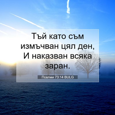 Picture 07 - Псалми 73:14 BULG - Тъй като съм измъчван цял - Bible Verse Picture