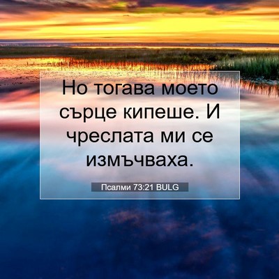 Picture 07 - Псалми 73:21 BULG - Но тогава моето сърце - Bible Verse Picture