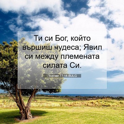 Picture 07 - Псалми 77:14 BULG - Ти си Бог, който вършиш - Bible Verse Picture